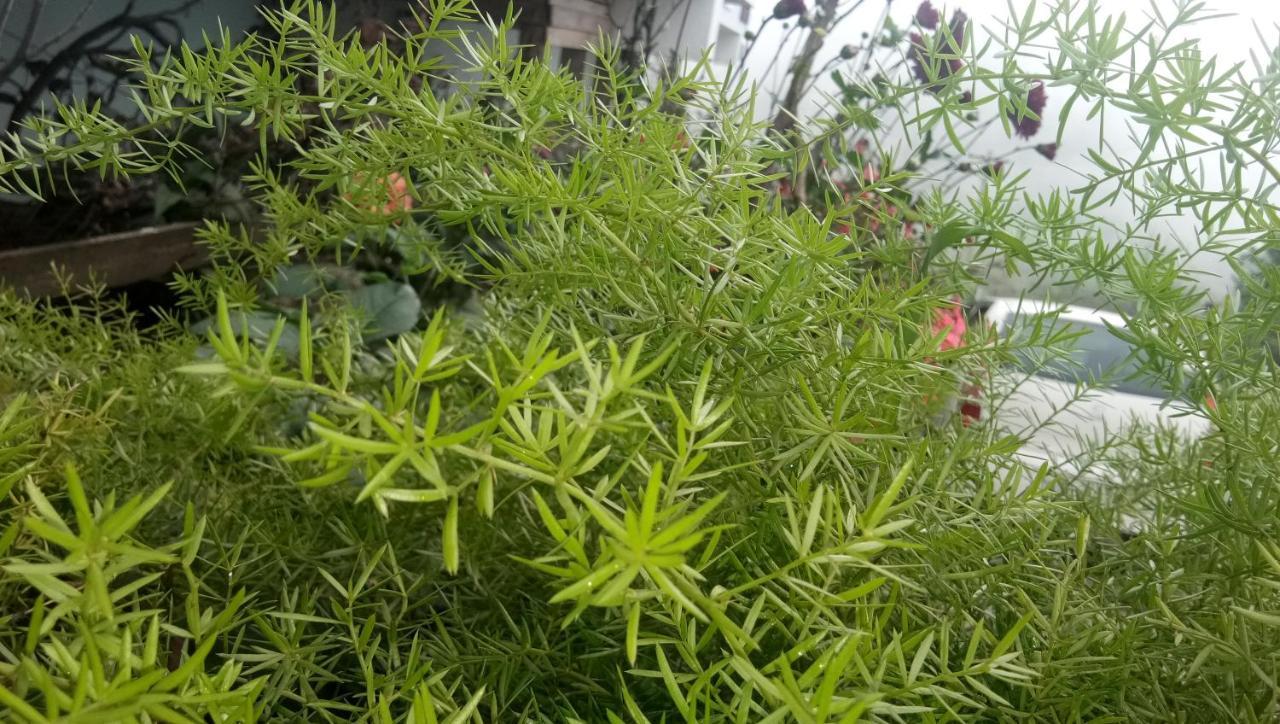 Ezhil Residency Hotel Tamilnadu - Tamilnadu - Kodaikanal Exterior foto